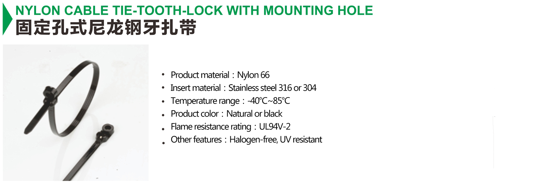 NYLON CABLE TIE-TOOTH-LOCK WITH MOUNTING HOLE
